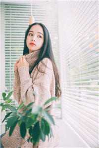 玫瑰有瘾结局
