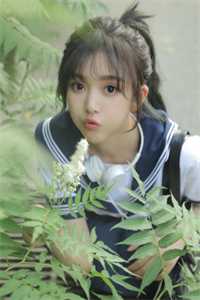 玫瑰有瘾全文+后续