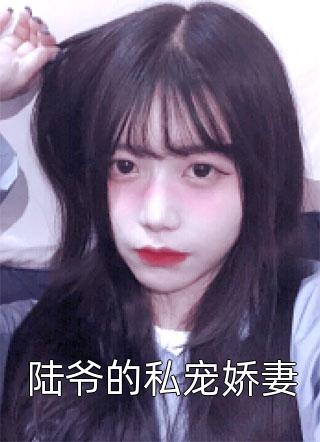 夏夜已逝，爱不负后续+全文