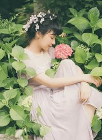 全本小说开局收集校花图鉴，觉醒SSS级异能